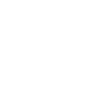 AIR MILES Logo
